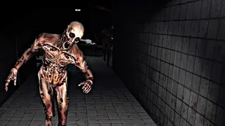 Скриншот 8 к игре Deadly Silence