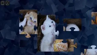 Скриншот 1 к игре Puzzles for smart: Cats