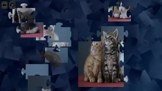 Скриншот 2 к игре Puzzles for smart: Cats