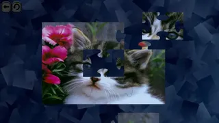 Скриншот 3 к игре Puzzles for smart: Cats