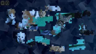 Скриншот 6 к игре Puzzles for smart: Cats