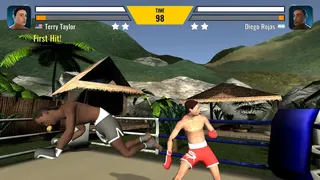 Скриншот 3 к игре Muay Thai Fighting