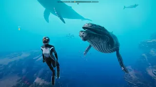 Скриншот 1 к игре Beyond Blue