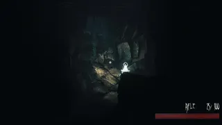 Скриншот 3 к игре Mist of the Dark