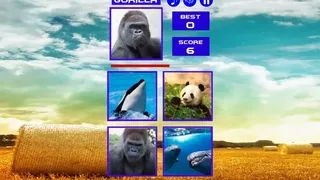 Скриншот 2 к игре Guess who ?