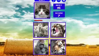 Скриншот 3 к игре Guess who ?