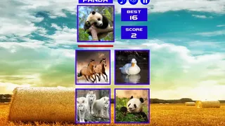 Скриншот 5 к игре Guess who ?