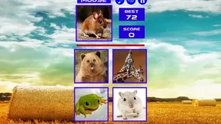 Скриншот 6 к игре Guess who ?