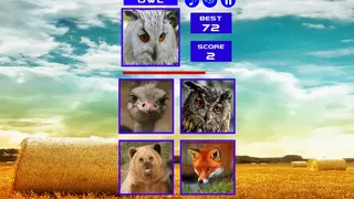 Скриншот 7 к игре Guess who ?