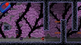 Скриншот 1 к игре ZYX STORY