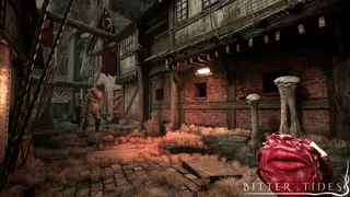 Скриншот 1 к игре Bitter Tides