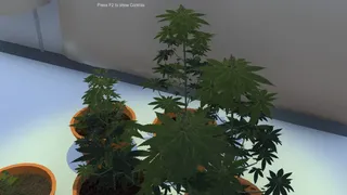 Скриншот 2 к игре Dr Greenstuff