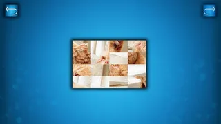 Скриншот 2 к игре PUZZLE: CATS & DOGS