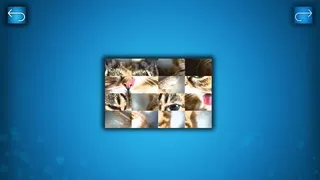 Скриншот 3 к игре PUZZLE: CATS & DOGS