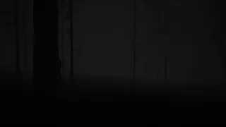 Скриншот 2 к игре Study of Unusual: Forest of Secrets