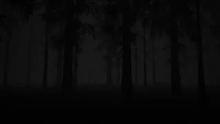 Скриншот 4 к игре Study of Unusual: Forest of Secrets