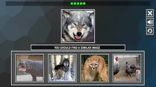 Скриншот 2 к игре Repeat the image: Animals