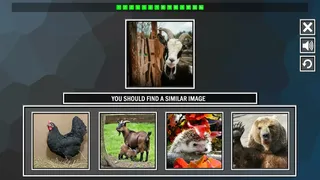 Скриншот 3 к игре Repeat the image: Animals