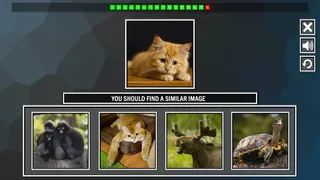 Скриншот 4 к игре Repeat the image: Animals