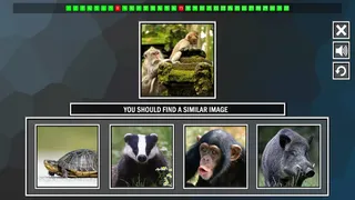 Скриншот 5 к игре Repeat the image: Animals