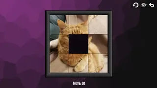 Скриншот 1 к игре Intelligence: Cats