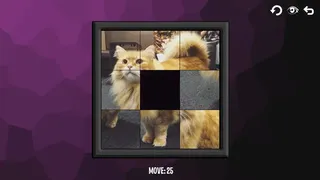 Скриншот 2 к игре Intelligence: Cats