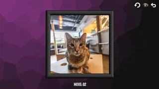 Скриншот 3 к игре Intelligence: Cats
