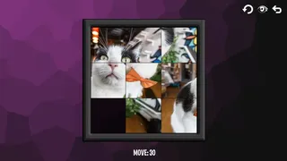 Скриншот 4 к игре Intelligence: Cats