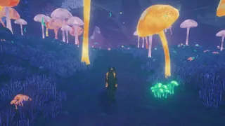Скриншот 7 к игре Paws and Soul
