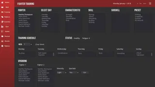Скриншот 5 к игре MMA Simulator
