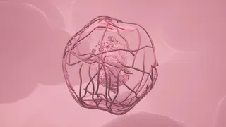Скриншот 1 к игре Anima