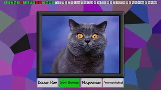 Скриншот 4 к игре Test your knowledge: Cats