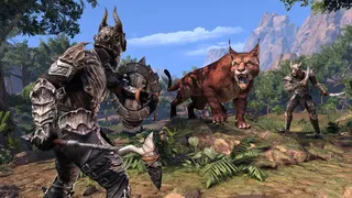 Скриншот 8 к игре The Elder Scrolls Online - Elsweyr