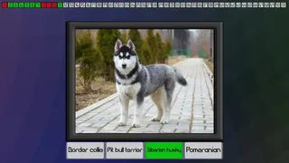 Скриншот 2 к игре Test your knowledge: Dogs