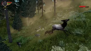 Скриншот 2 к игре WolfQuest: Anniversary Edition