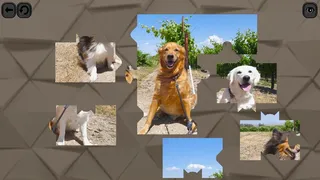 Скриншот 1 к игре Puzzles for smart: Dogs