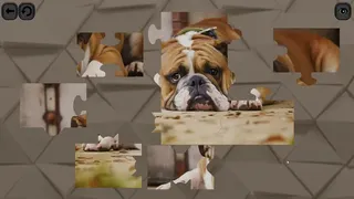 Скриншот 2 к игре Puzzles for smart: Dogs