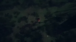 Скриншот 7 к игре The Amazonian Dread