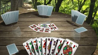 Скриншот 2 к игре Классические Карточные Игры 3D