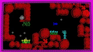 Скриншот 4 к игре Captain MaCaw