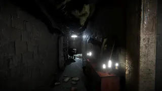 Скриншот 1 к игре Blame Him