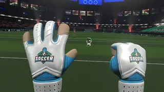 Скриншот 4 к игре Virtual Soccer Zone