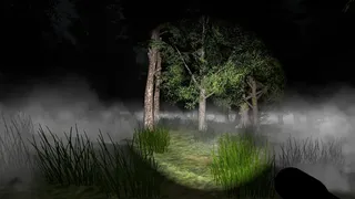 Скриншот 2 к игре Go Outside Simulator