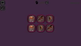 Скриншот 4 к игре Animals Memory: Horses