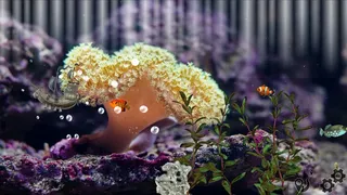 Скриншот 4 к игре Aquarium Sandbox