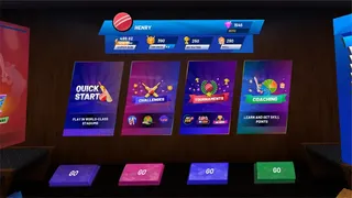 Скриншот 8 к игре iB Cricket