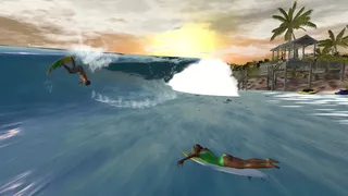 Скриншот 1 к игре The Endless Summer - Search For Surf