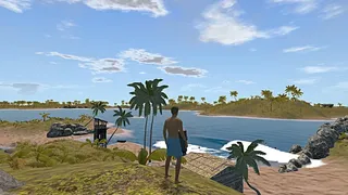 Скриншот 3 к игре The Endless Summer - Search For Surf
