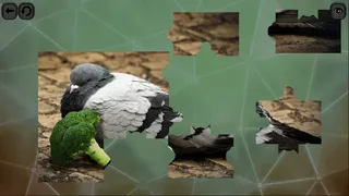 Скриншот 1 к игре Puzzles for smart: Birds