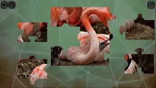 Скриншот 3 к игре Puzzles for smart: Birds
